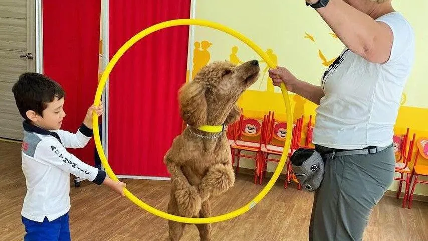 Картинка