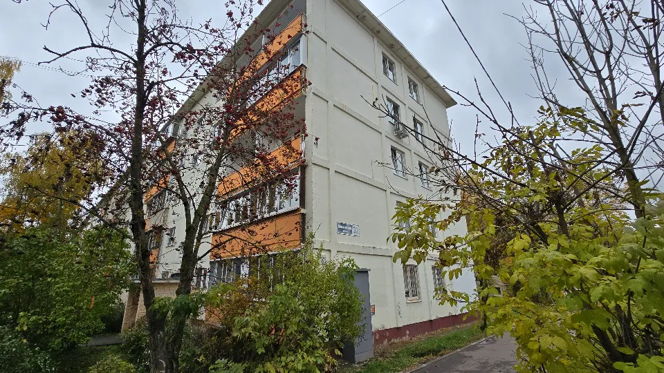 Фото: МедиаБанк Подмосковья/Яна Шаливская