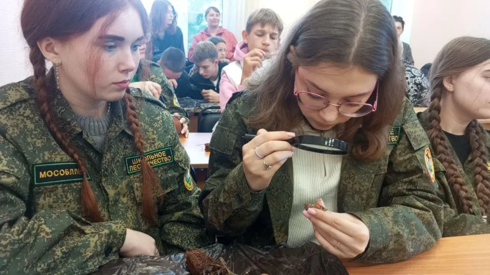 Фото: Комитет лесного хозяйства Московской области