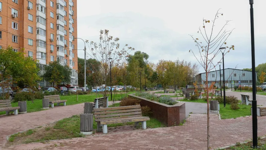 Фото: пресс-служба администрации г.о. Подольск