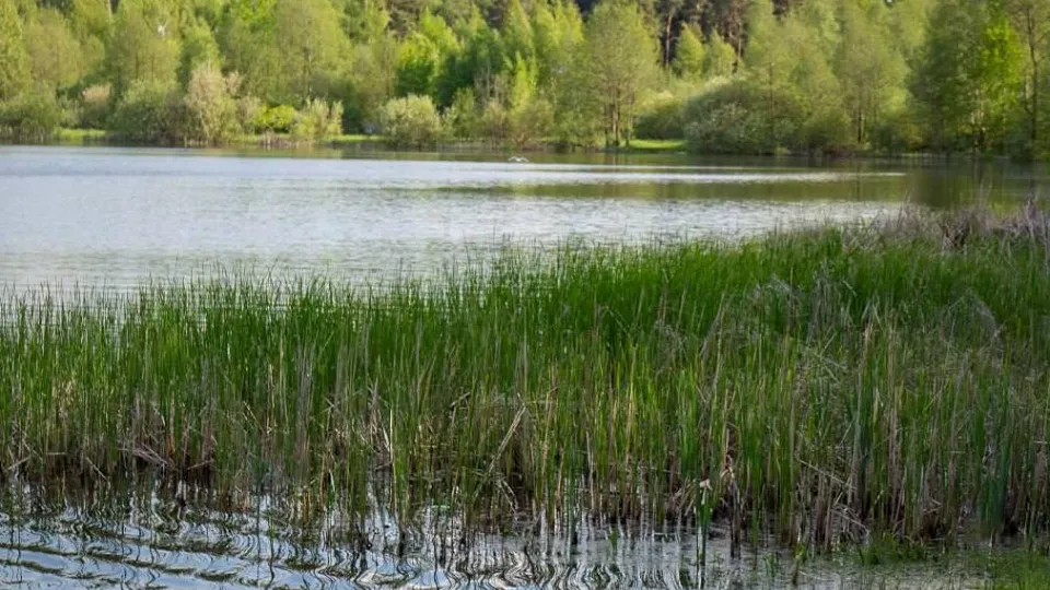 Фото: пресс-служба администрации г.о. Электросталь