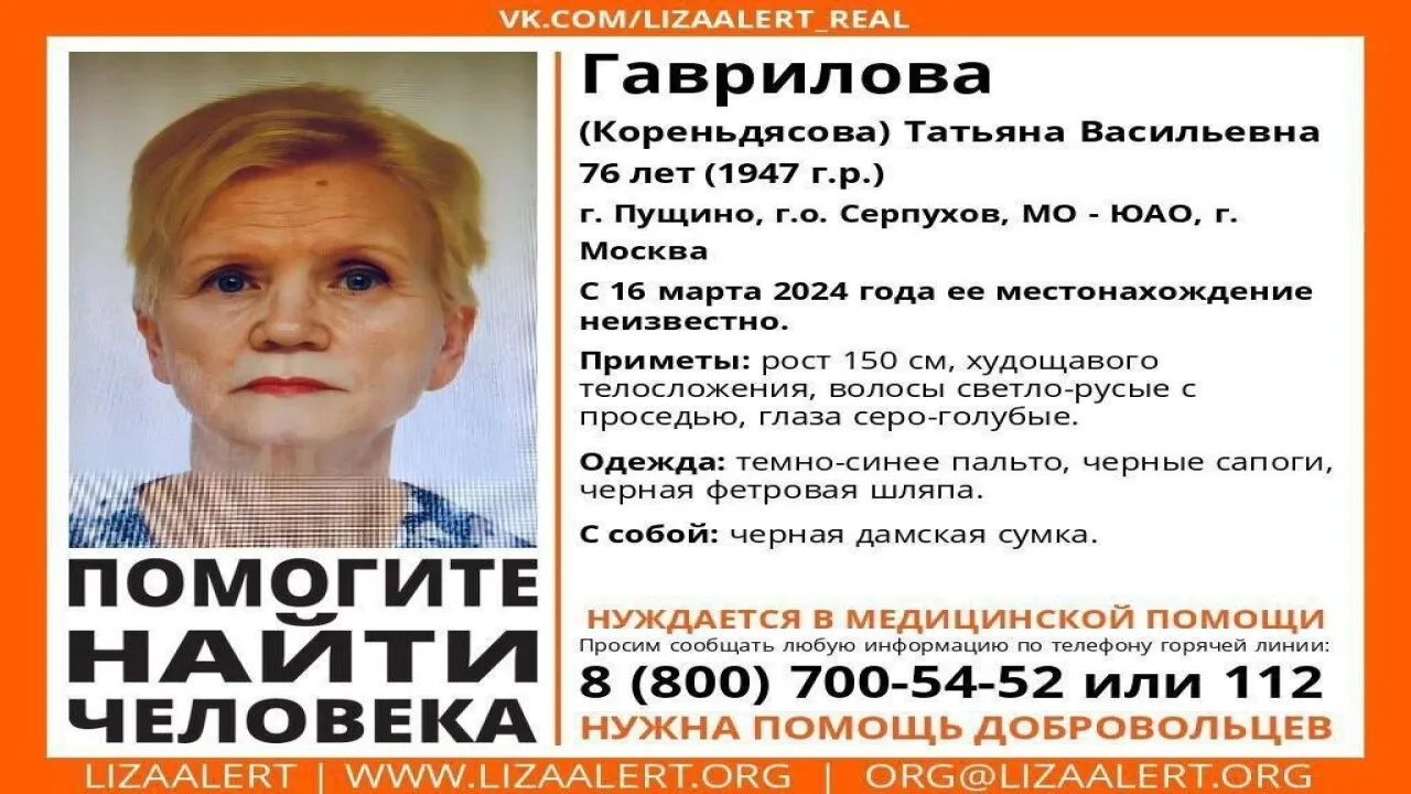 Фото: ЛизаАлерт