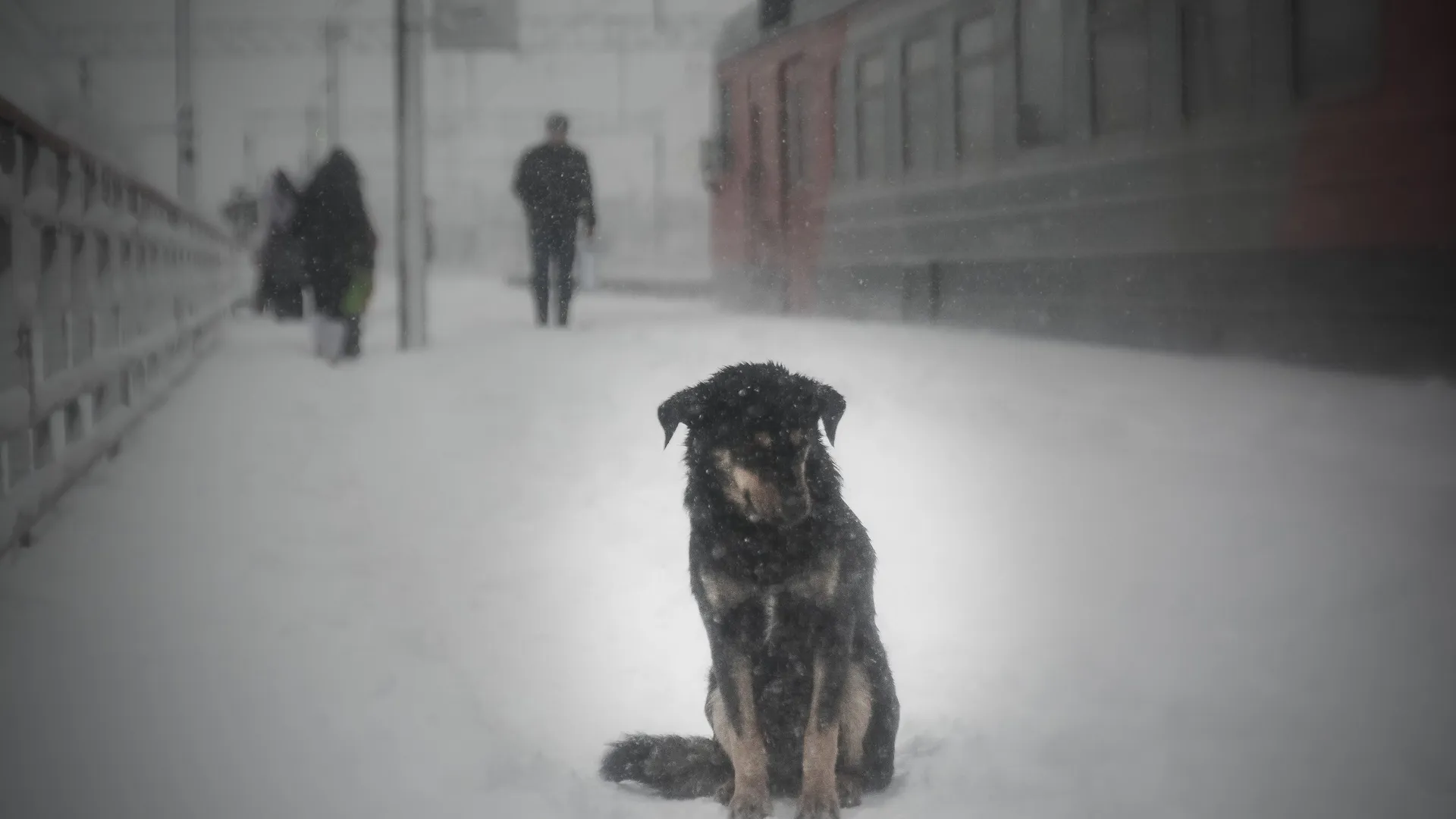 Фото: Руслан Полянин