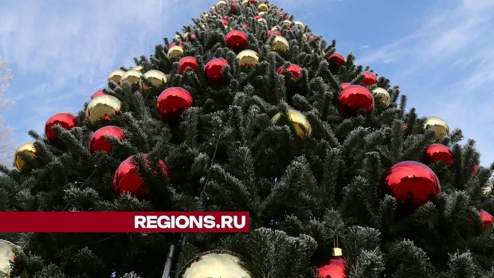 Фото: REGIONS/Александр Дрожжин