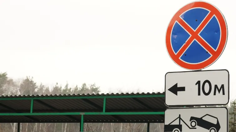 Фото: Медиабанк Подмосковья/Антифьева Дарья