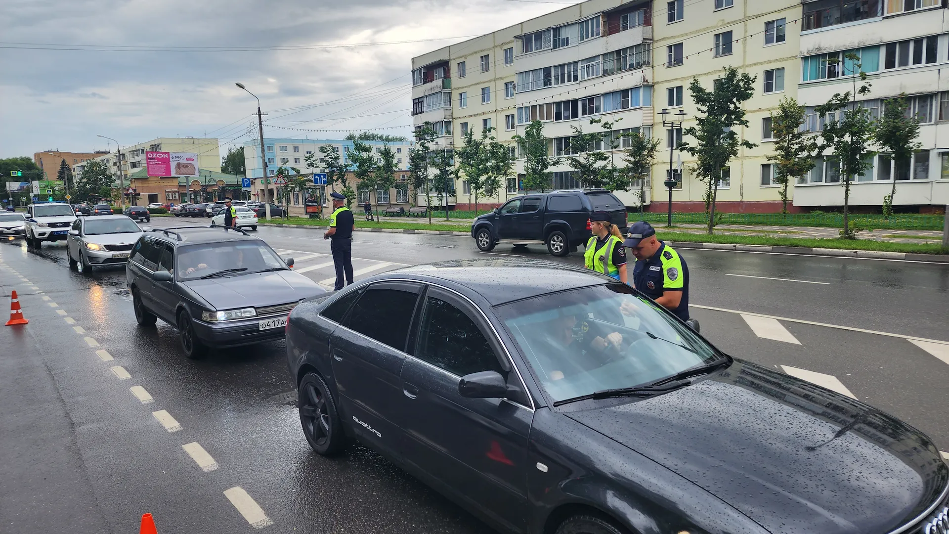 Фото: МедиаБанк Подмосковья/Дмитрий Беденко