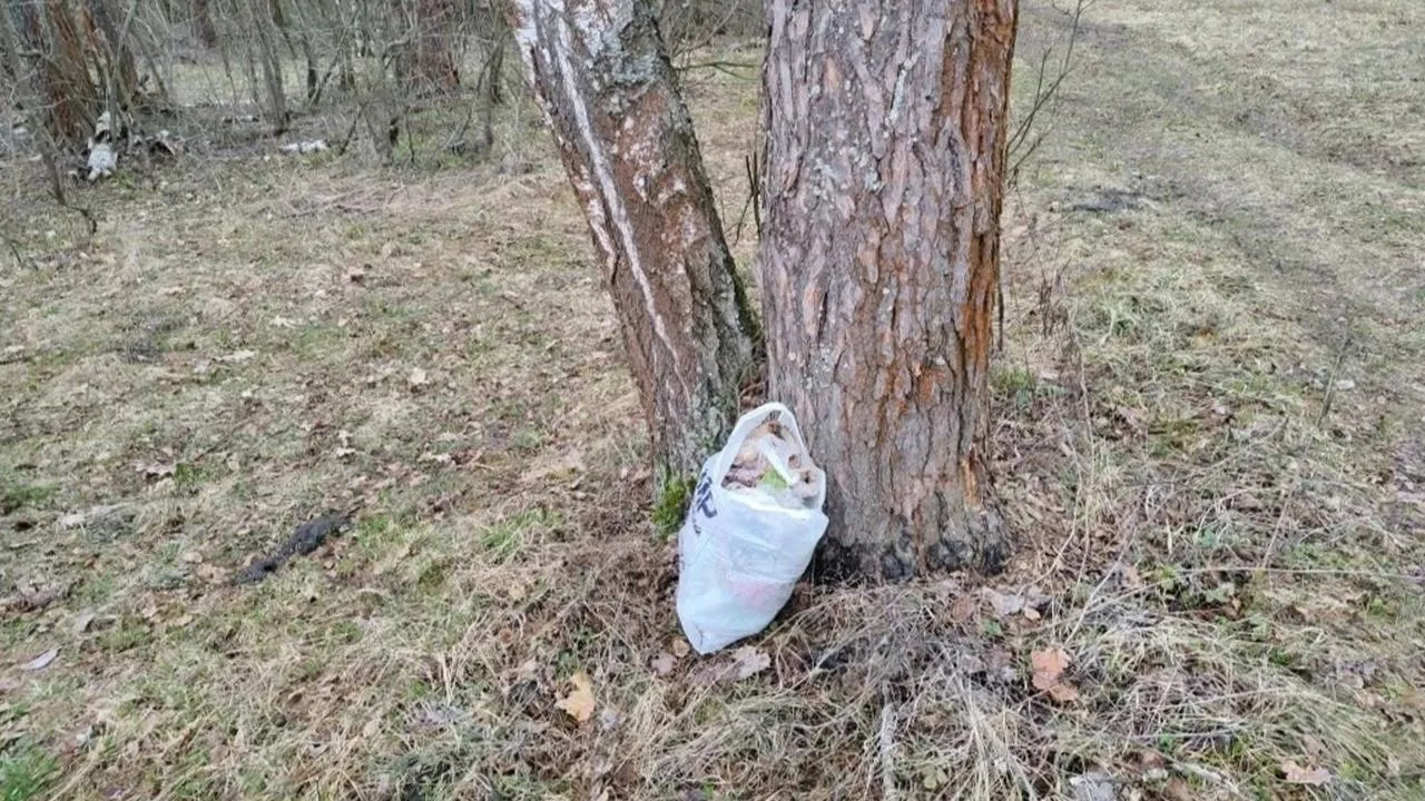 Первый пакет отходов в лесу после таяния снега собрал лично глава Черноголовки и призвал земляков открывать сезон чистоты.