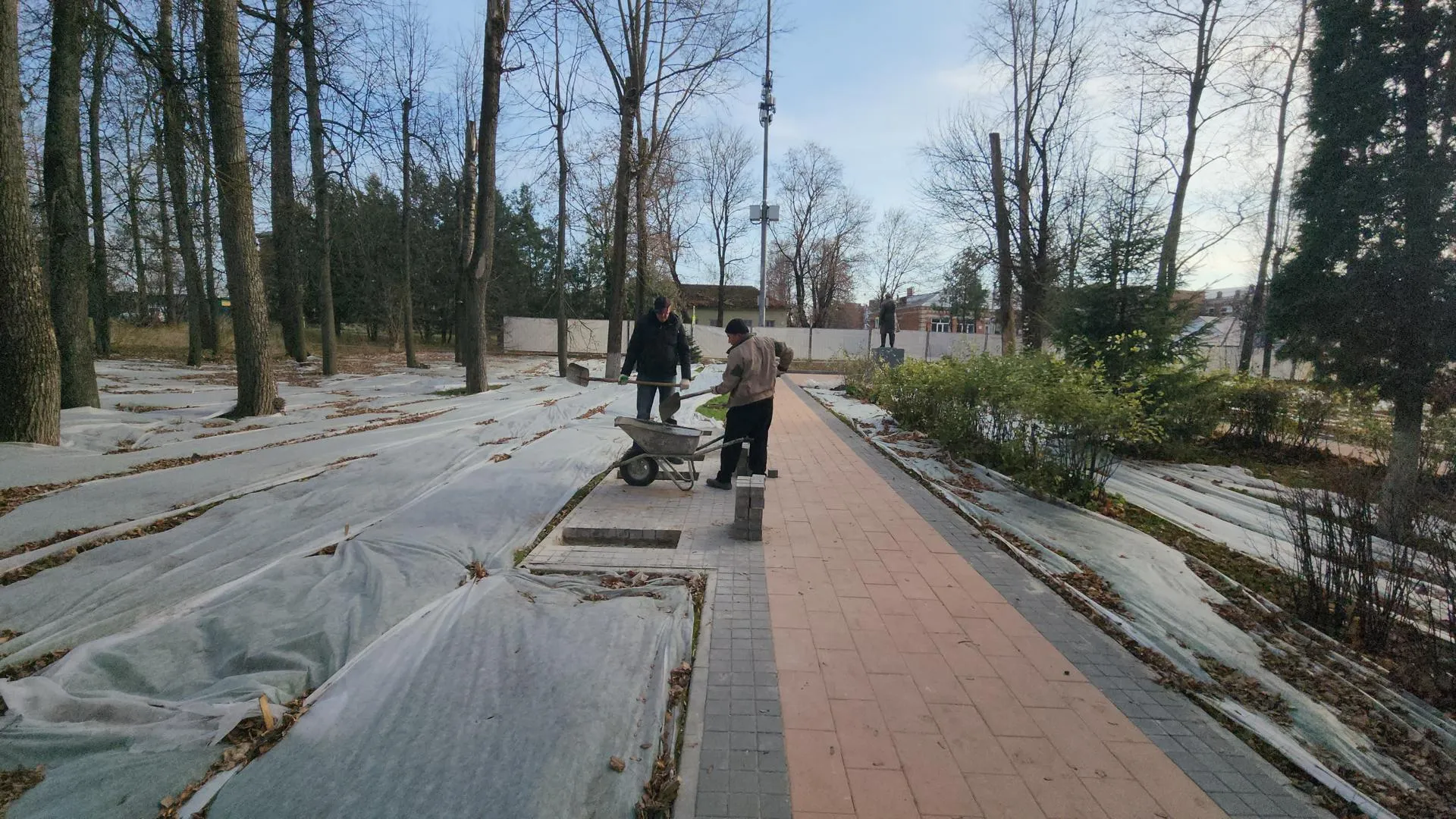 Картинка