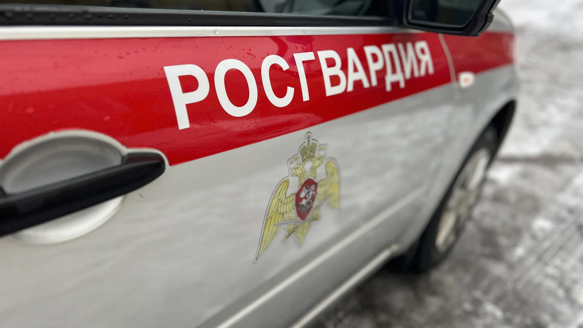Фото: Евгения Герасимова
