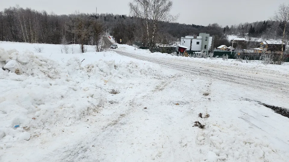 Фото: МедиаБанк Подмосковья/Александр Степушкин