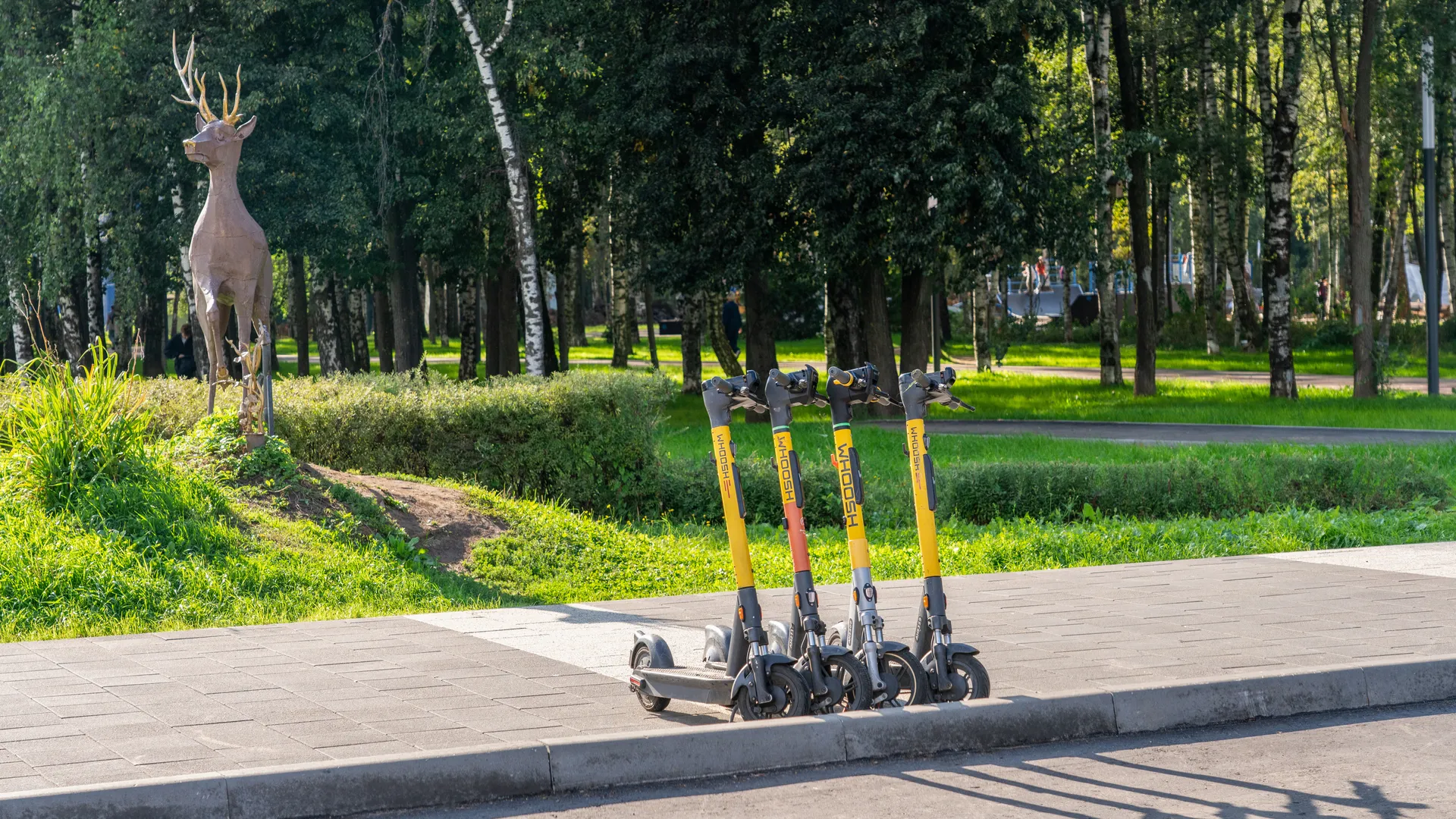В Люберцах с 1 апреля запретят аренду электросамокатов из-за роста ДТП