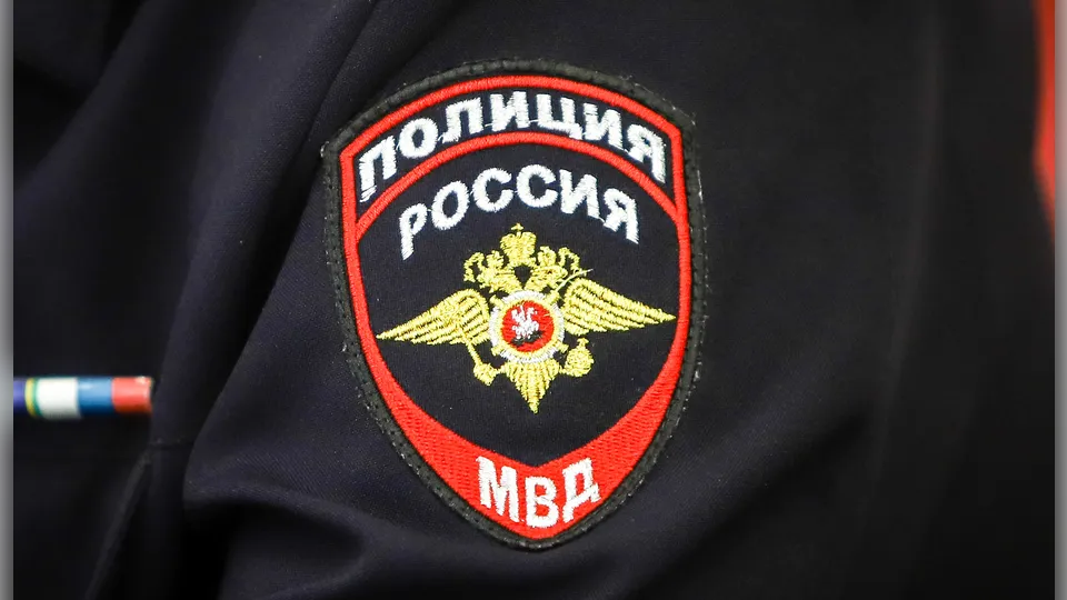 Фото: пресс-служба г.о. Кашира