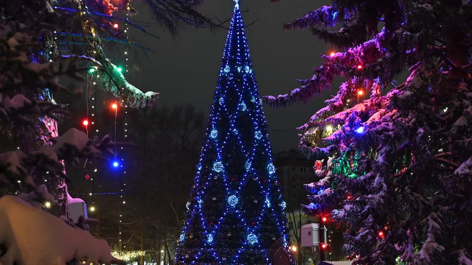 Фото: Сергей Демянюк
