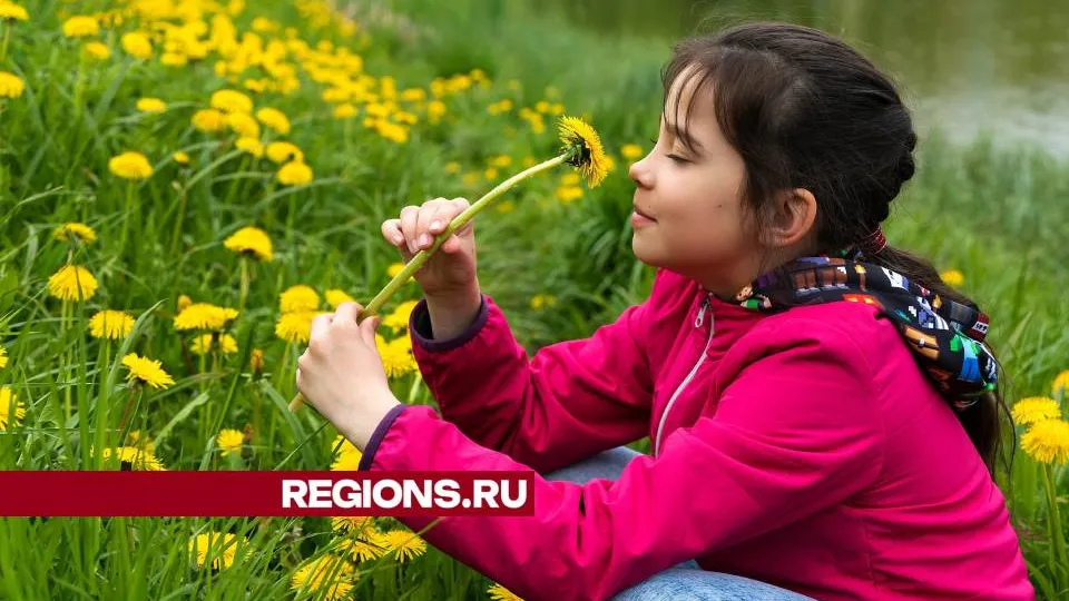 Фото: REGIONS/Ольга Пятикрестовская