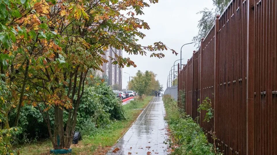 Фото: медиасток.рф