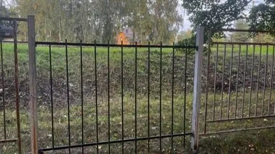 Фото: МТДИ МО