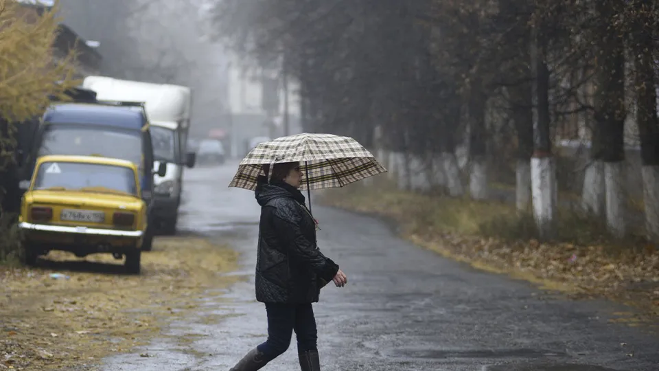 Фото: медиасток.рф