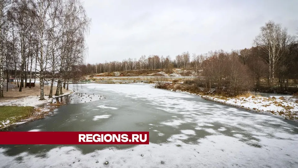 Фото: МедиаБанк Подмосковья/Данила Кирьянов