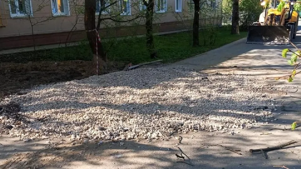 Фото: администрация г.о. Лосино-Петровский