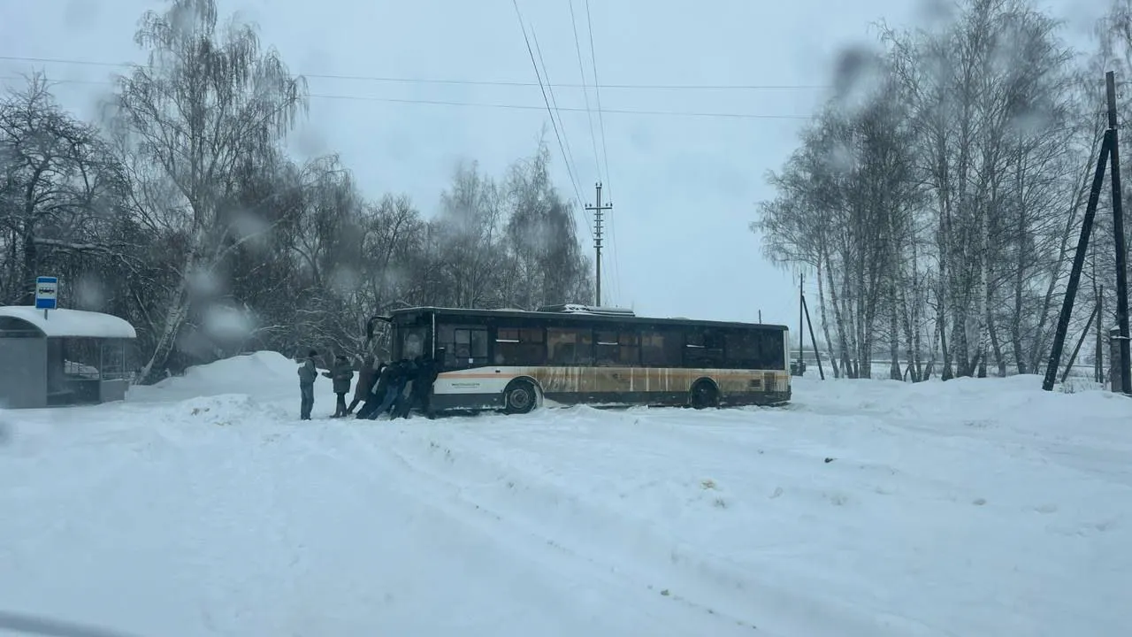 Картинка