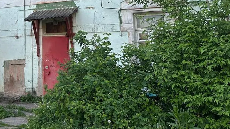 Фото: Александра Серова