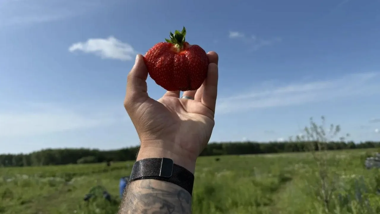 Картинка