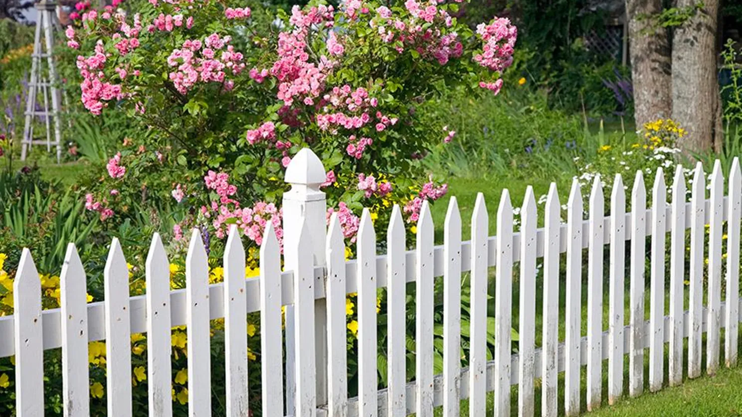 Фото: istockphoto.com
