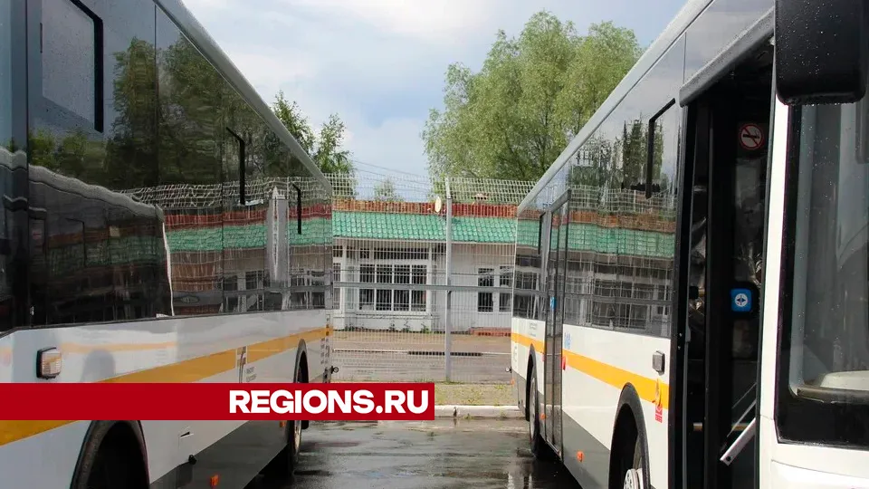 Фото: REGIONS/Василий Тремасов