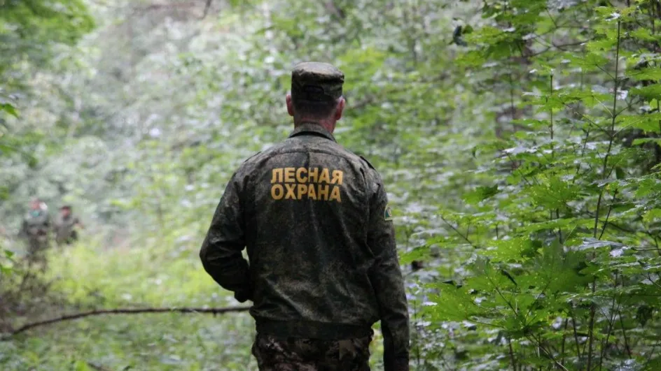 Фото: Комлесхоз МО