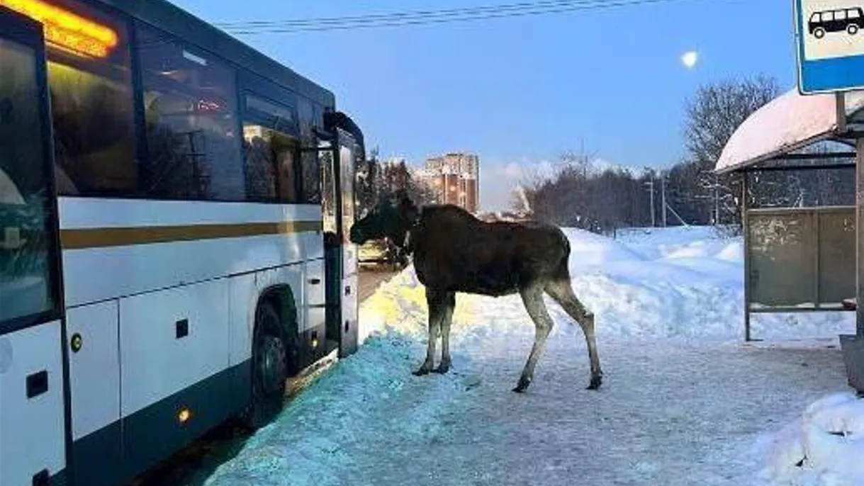 Госавтоинспекция России