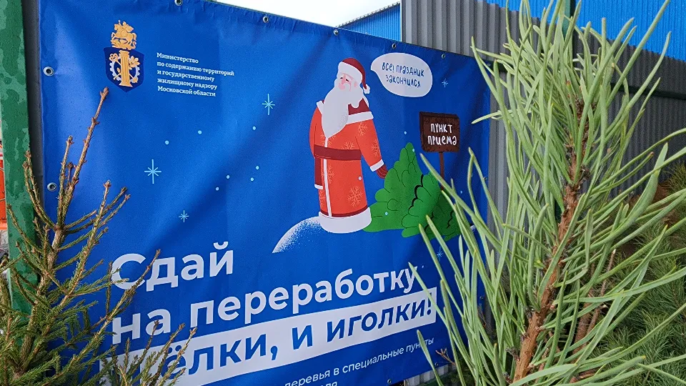 Фото: МедиаБанк Подмосковья/Валерия Тингаева