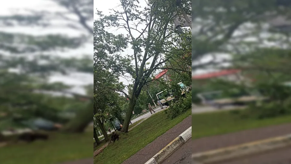 Фото: соцсети