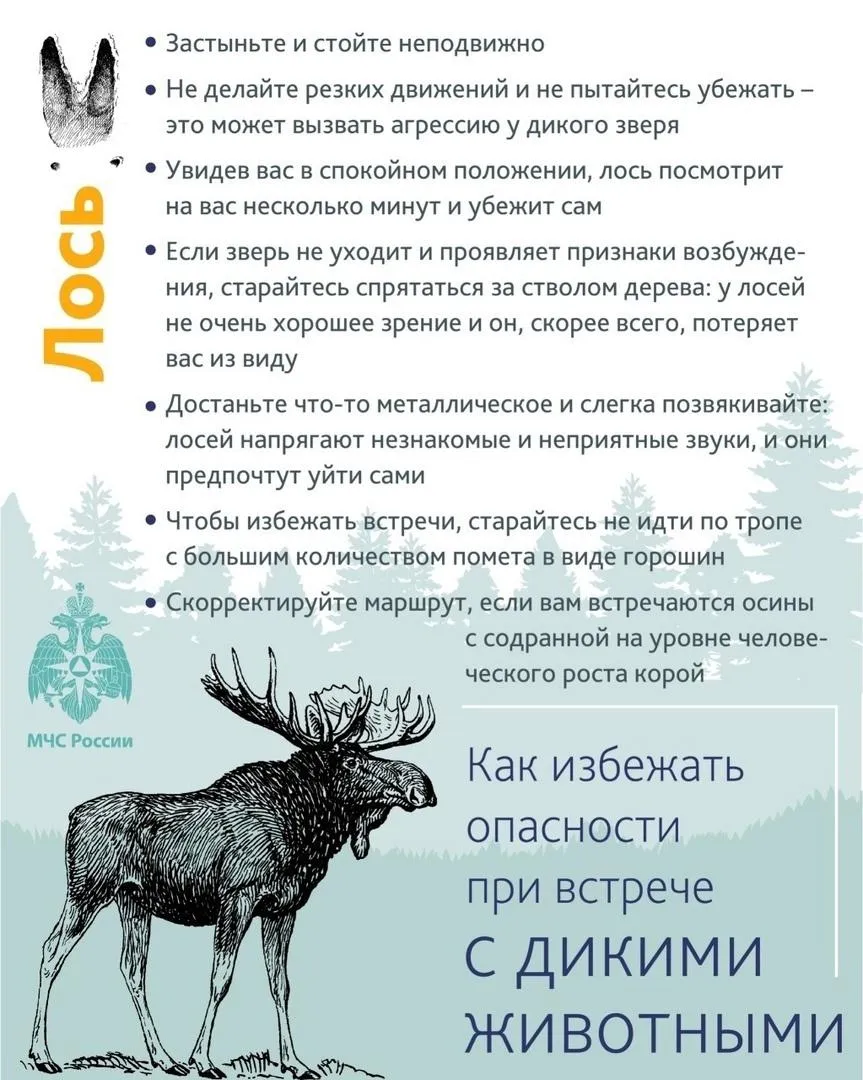 МЧС России