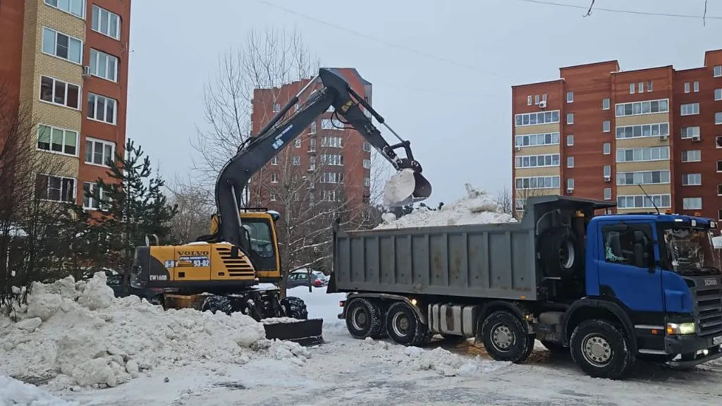 Фото: пресс-служба администрации г.о. Черноголовка