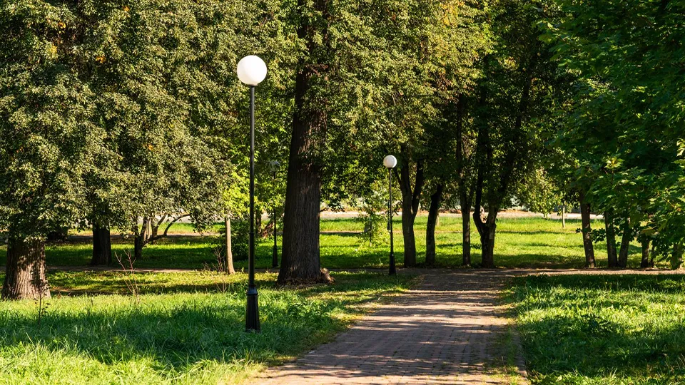Фото: медиасток.рф