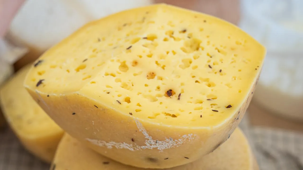 Сыры из Подмосковья были признаны лучшими на международном конкурсе Cheese Expo