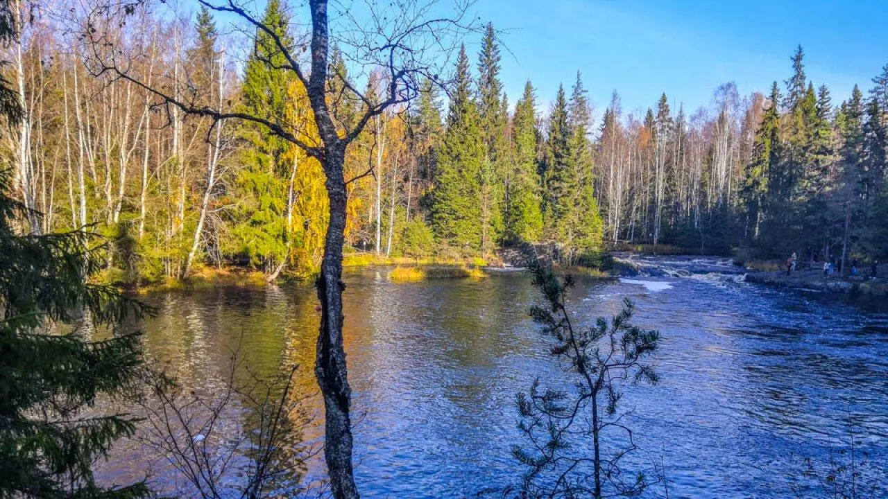 Картинка