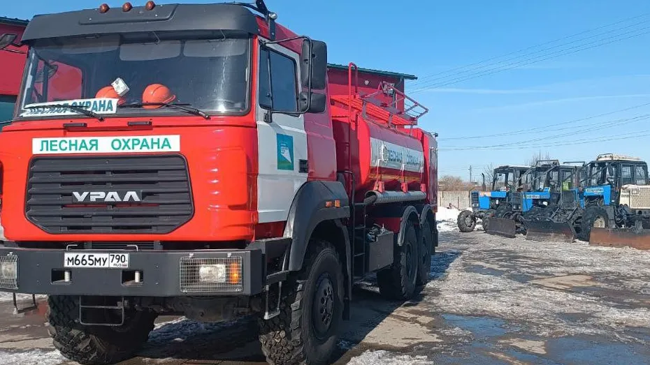 Фото: пресс-служба Комитета лесного хозяйства Московской области