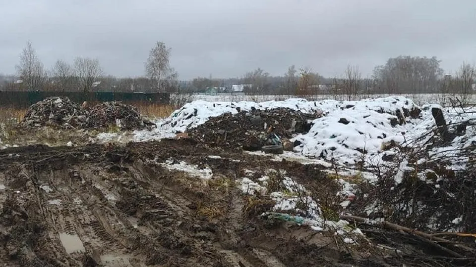 Фото: Минэкологии МО