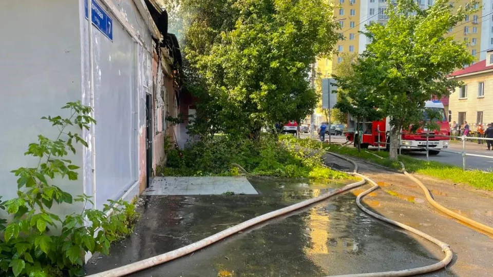 Фото: ГКУ МО «Мособлпожспас»