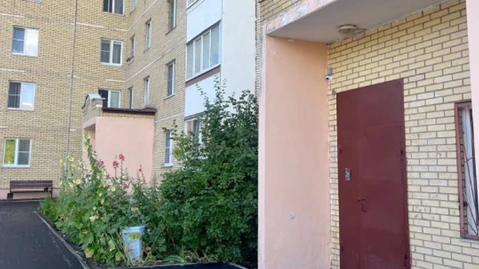 Фото: администрация Павлово-Посадского г.о.