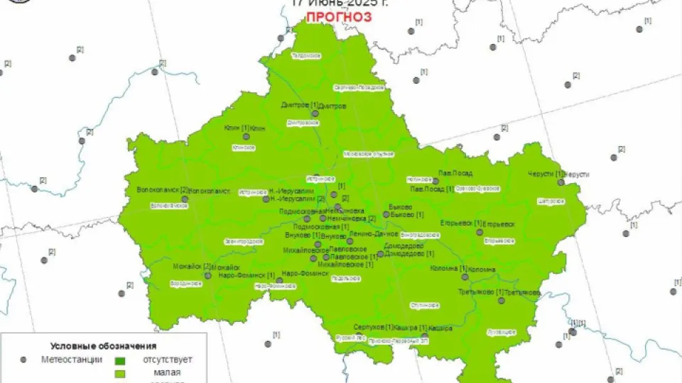 Фото: Комитет лесного хозяйства Московской области