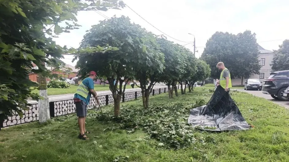 Картинка
