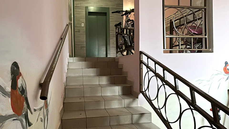 Фото: МедиаБанк Подмосковья/Мария Шматкова