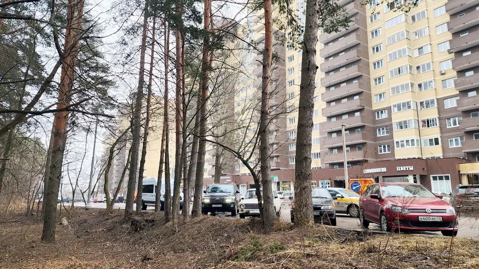 Фото: МедиаБанк Подмосковья/Ольга Аввакумова