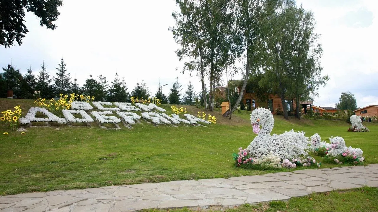 Картинка