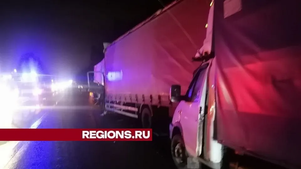 Фото: ГКУ МО «Мособлпожспас»