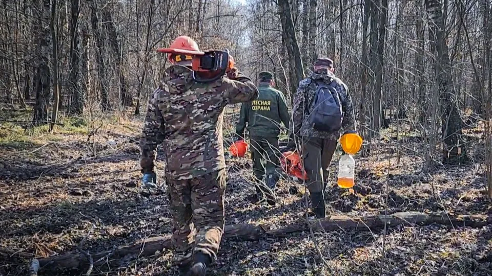 Фото: Ольга Антонова