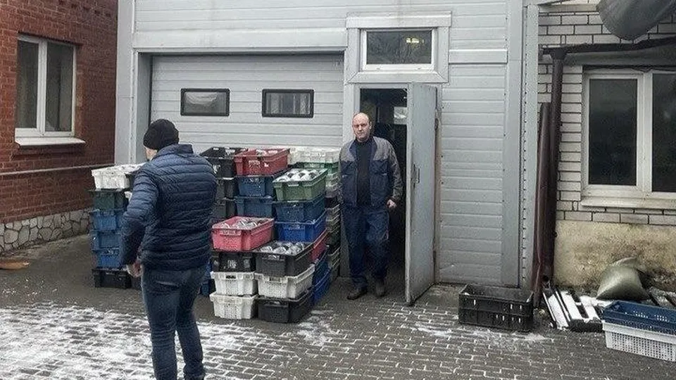 Фото: пресс-служба администрации г.о. Мытищи