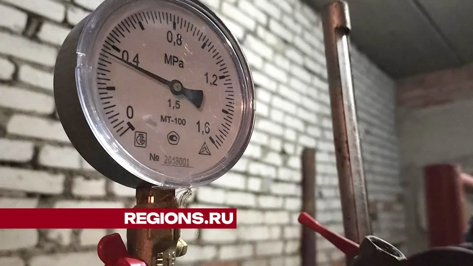 Фото: Валерия Тингаева